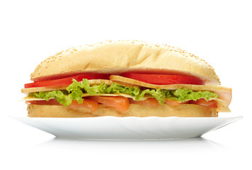Big sandwich on white plate