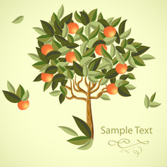 Olive tree background