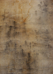 wood plate with water damage
