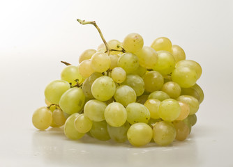 grape branch