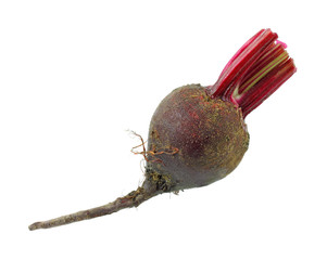 Small garden beet