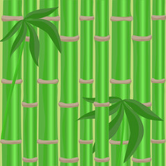 Fototapeta na wymiar Bamboo background