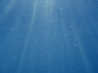 Fototapeta premium underwater background