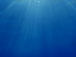 underwater background