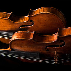 Beautiful old violin