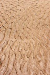 Wet sand