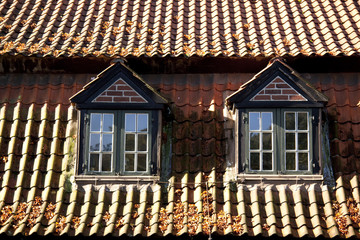Dachfenster2
