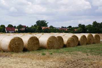 Fototapeta premium Strohballen / Ernte
