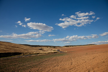 Paisaje árido andaluz