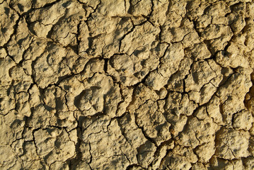 Textura de barro