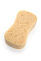 Yellow Sponge
