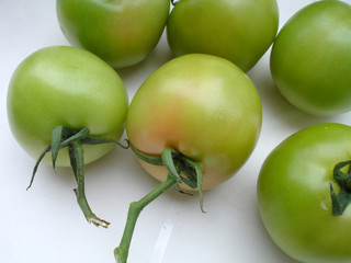 tomates vertes pour marmelade