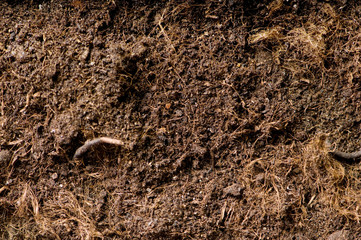 Close up of soil - can be used as background