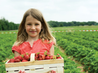 Girl with basket strawberry - 24518632