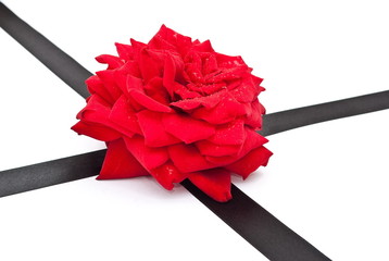 Red rose with black ribbon