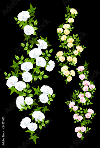 "Verschiedene Rosenranken (mit Clippfad)" Stockfotos und lizenzfreie