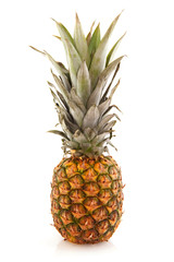 Fresh whole pineapple