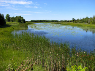 Obraz premium Georgian Inlet