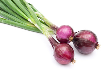 Red young onions