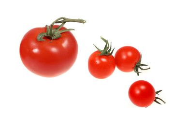 Tomatoes on white background