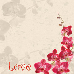 Background with orchid