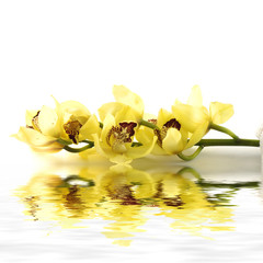 Reflection of Spa concept towel with orchid