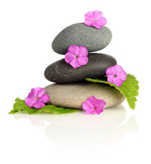 Stacked stones with flowers