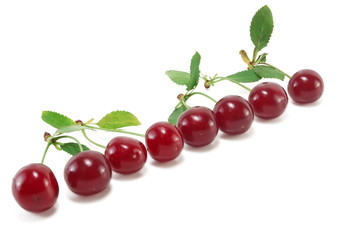 Cherry