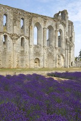 Obraz premium abbaye de maillezais en vendée