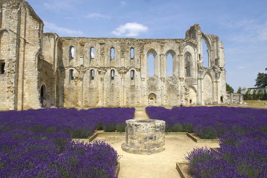 abbaye de maillezais en vend&eacute;e