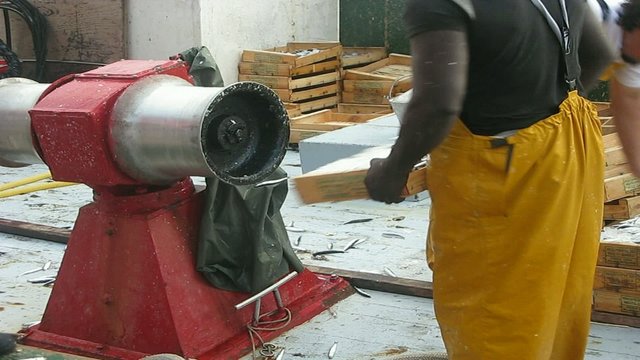 PESCADORES DESCARGANDO CAJAS DE BOQUERONES