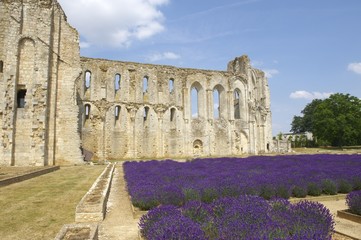 abbaye de maillezais en vendée