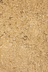 Old Mud Wall Texture