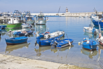 Boats moored at port. Monopoli. Apulia.