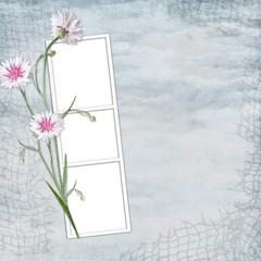 Summer background with frame and flowers