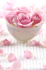 bowl of pink rose and petals on towel