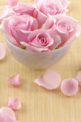 bowl of pink rose and petals- beauty treatment-