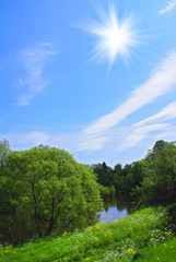 Obraz premium Summer landscape