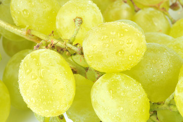 Grains de raisin