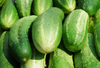 Cucumbers