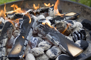 Grillkohle