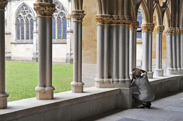 photographe
