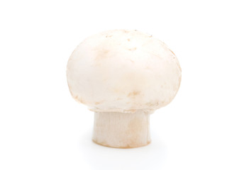 champignon