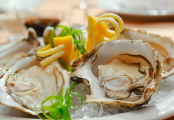 Oysters in a plate with ice
