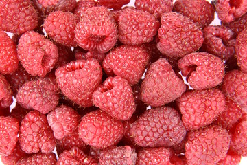 Raspberries background: lots of raspberries in close up