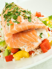 Salmon
