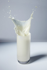 Milch 07