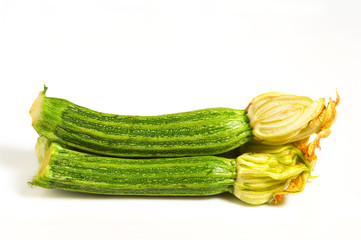 Zucchine 3