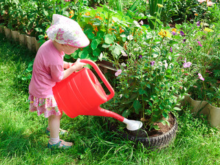 Little gardener