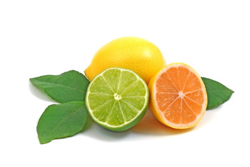 Zitrusfrüchten/citrus fruits
